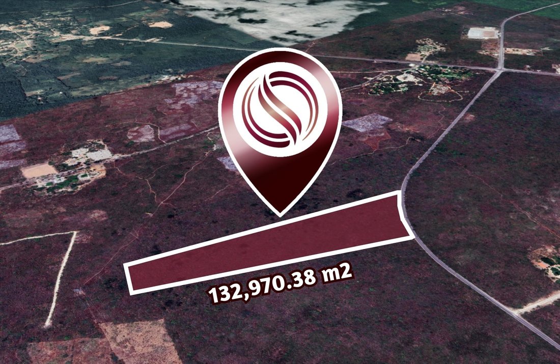 Land in Valladolid, Yucatan, Mexico 1 - 17504339