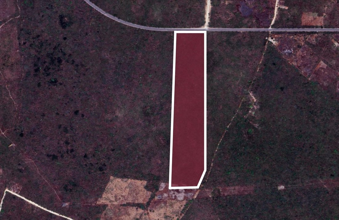 Land in Valladolid, Yucatan, Mexico 2 - 17504325