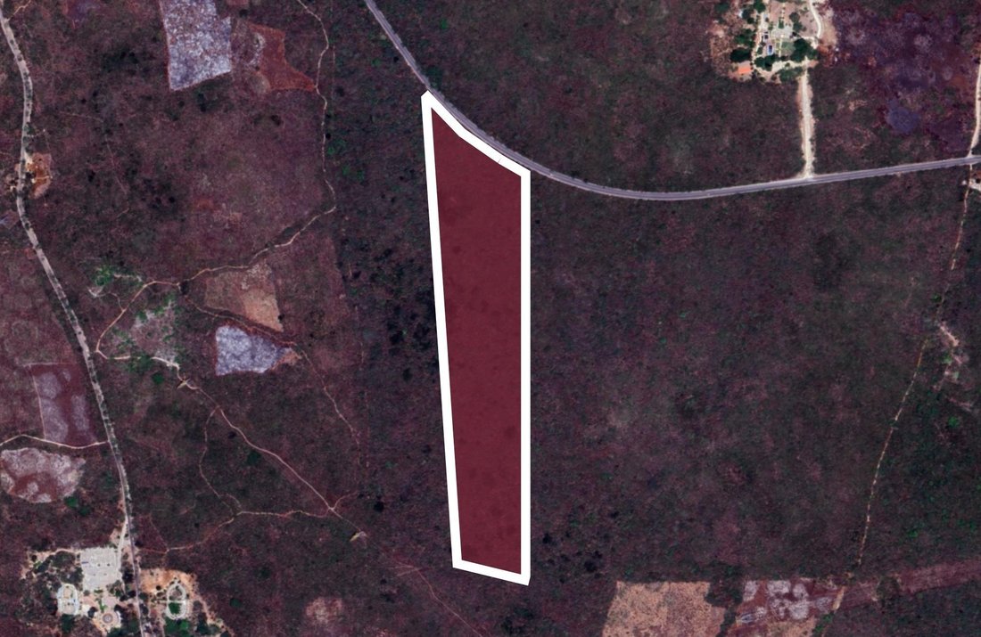 Land in Valladolid, Yucatan, Mexico 2 - 17504339