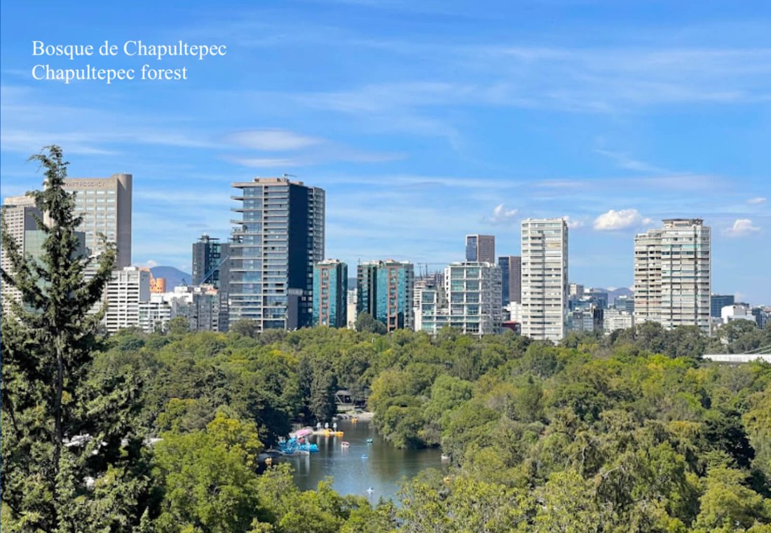 Mexico City, Mexico 5 - 17506897