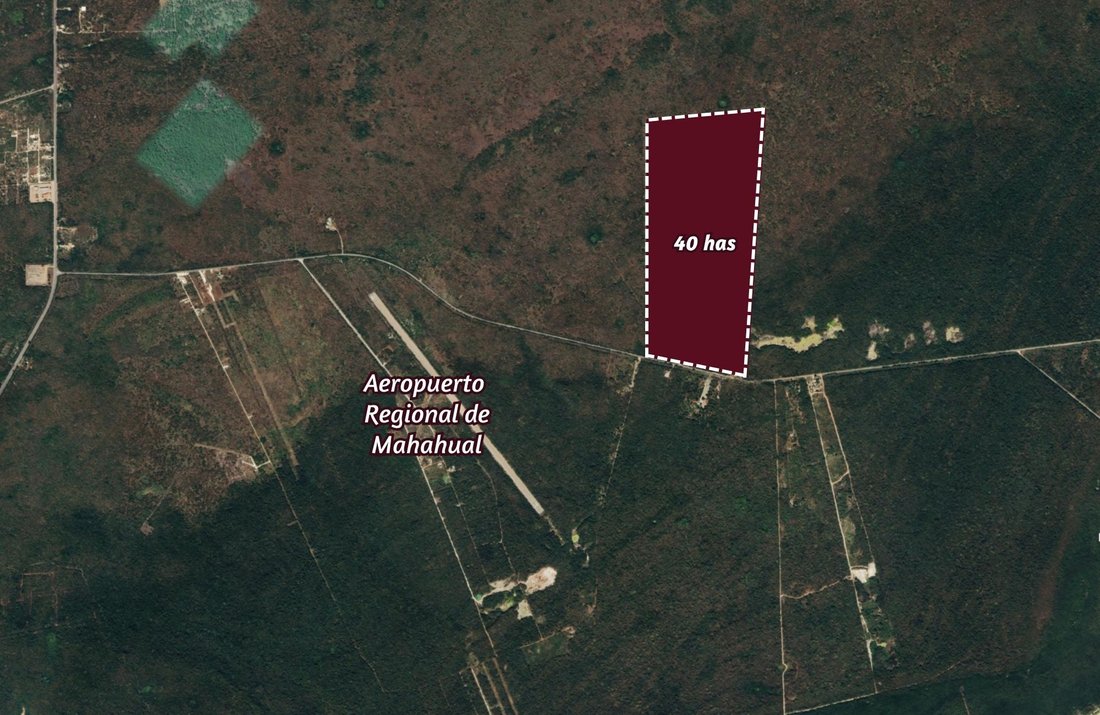 Land in San Carlos, Quintana Roo, Mexico 2 - 17507963