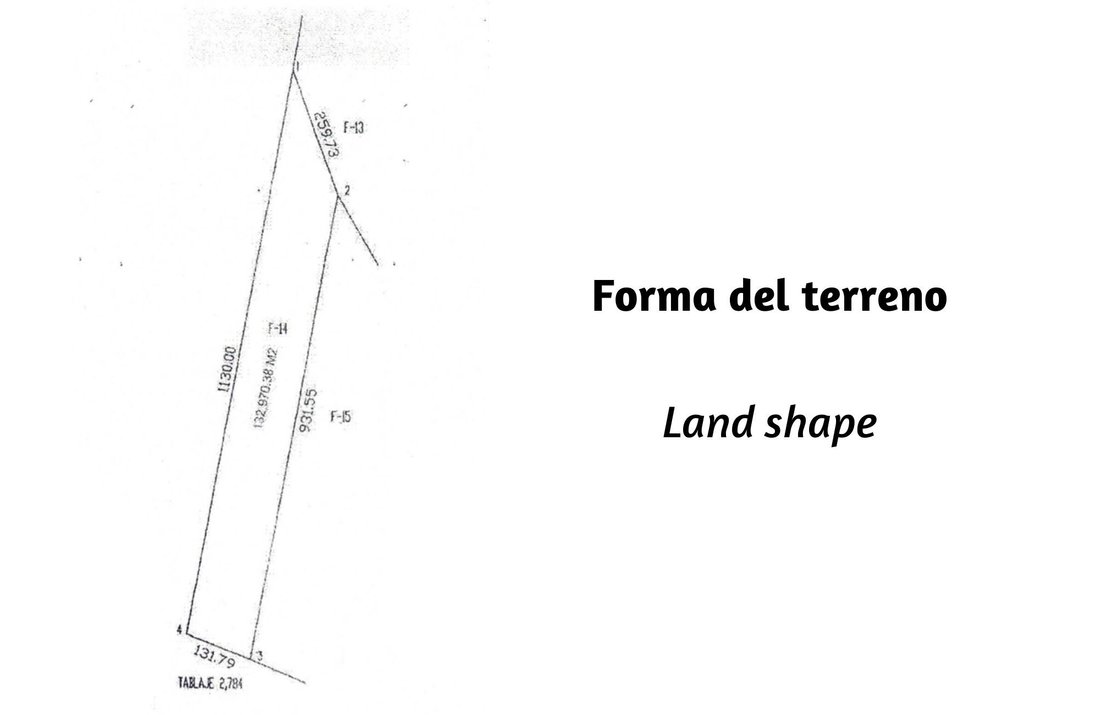 Land in Valladolid, Yucatan, Mexico 3 - 17504330