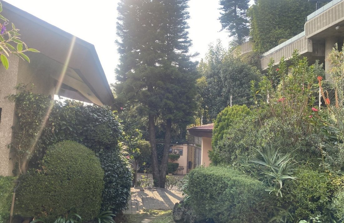 House in Mexico City, Mexico 4 - 17505890