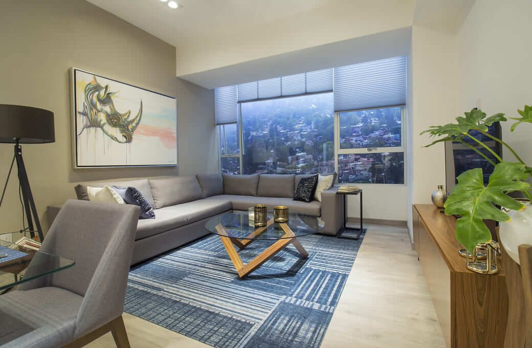 Apartment in Mexico City, Mexico 4 - 17506602