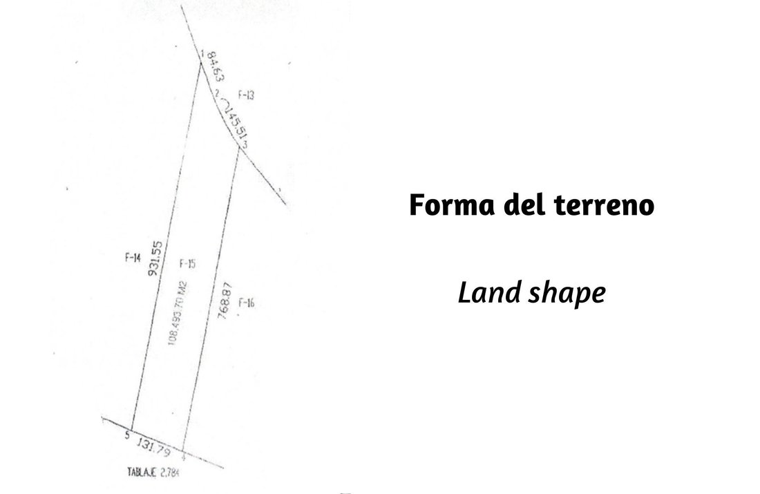 Land in Valladolid, Yucatan, Mexico 3 - 17504339