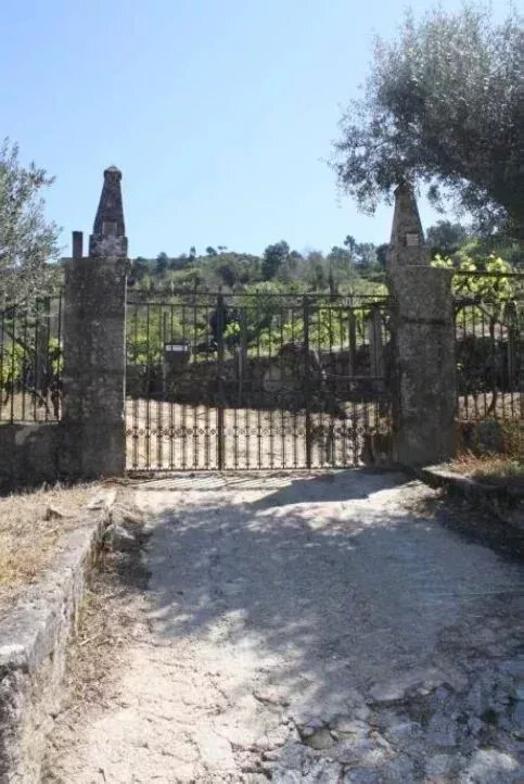 Farm Ranch in Loivos da Ribeira e Tresouras, Porto District, Portugal 5 - 17506598