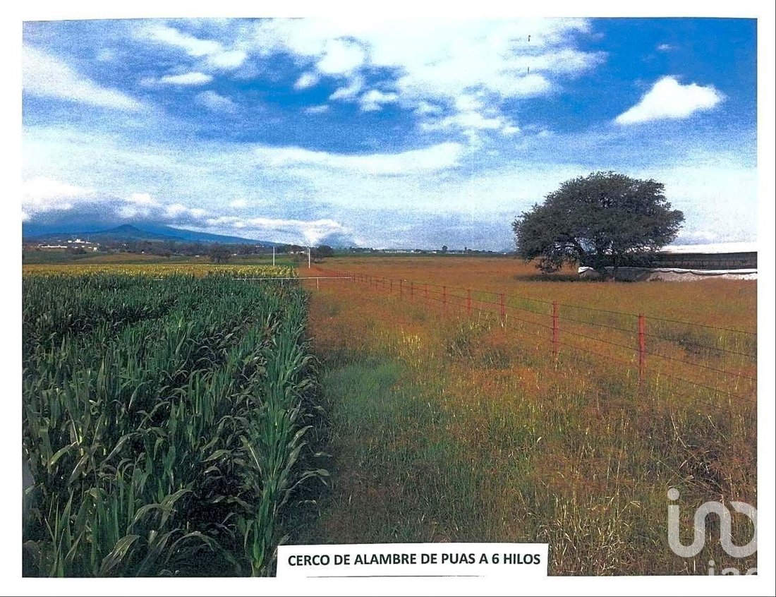 Land in San José del Castillo, Jalisco, Mexico 2 - 17510854