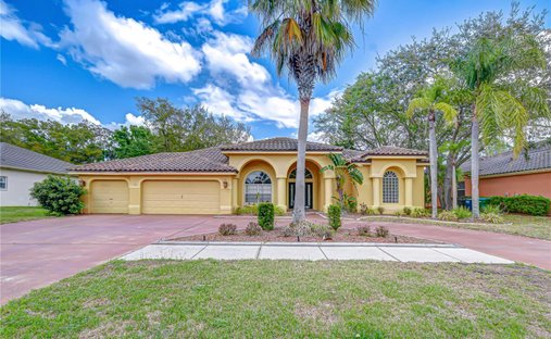 House in Tarpon Springs, Florida, United States 1