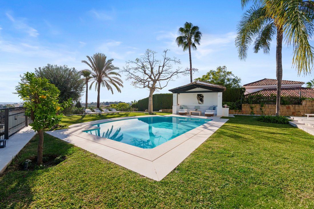 Villa in Nueva Andalucia, Marbella, Spain 4 - 17509172