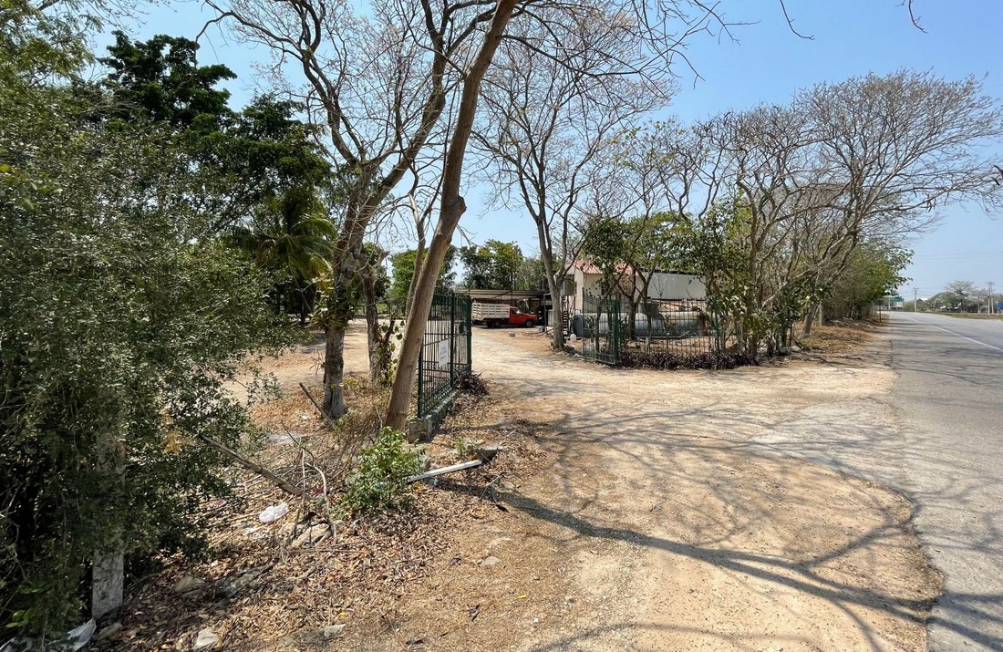 Land in Conkal, Yucatan, Mexico 4 - 17504416