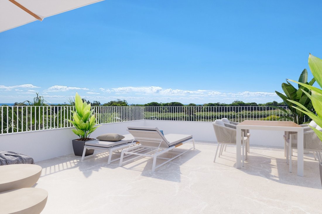 Villa in Elx / Elche, Valencian Community, Spain 3 - 17502867