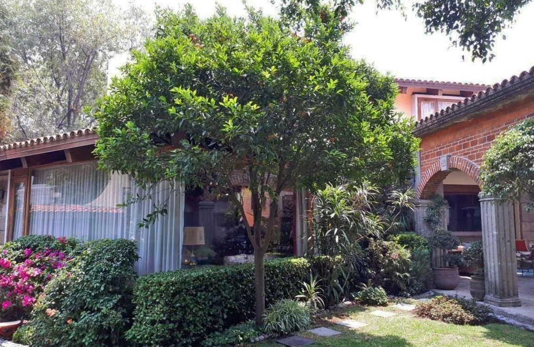 House in Mexico City, Mexico 2 - 17505905