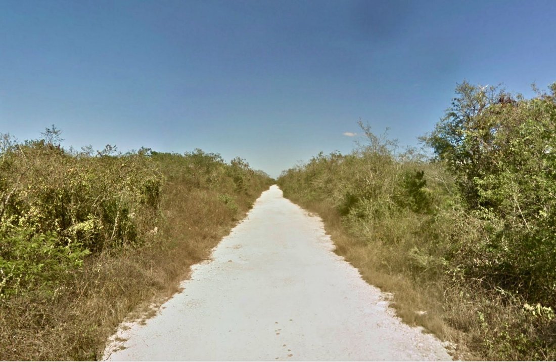 Land in Kantoyna, Yucatan, Mexico 5 - 17504387