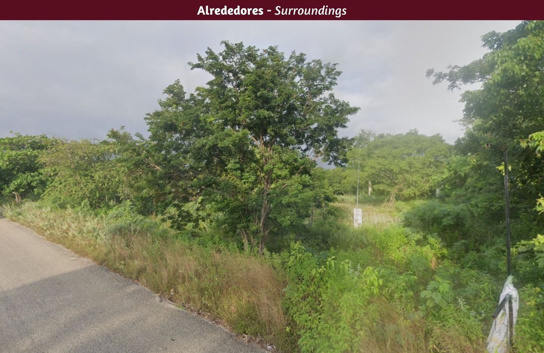 Land in San Carlos, Quintana Roo, Mexico 5 - 17507963