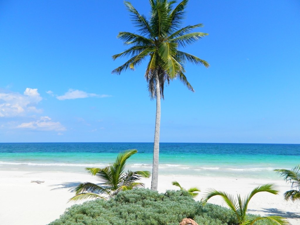 Land in Tulum, Quintana Roo, Mexico 3 - 17508039