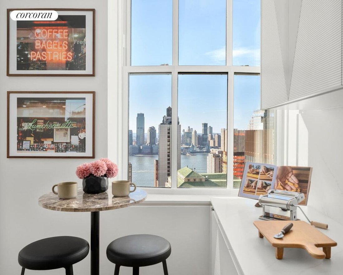 Condo in New York, New York, United States 3 - 17510631