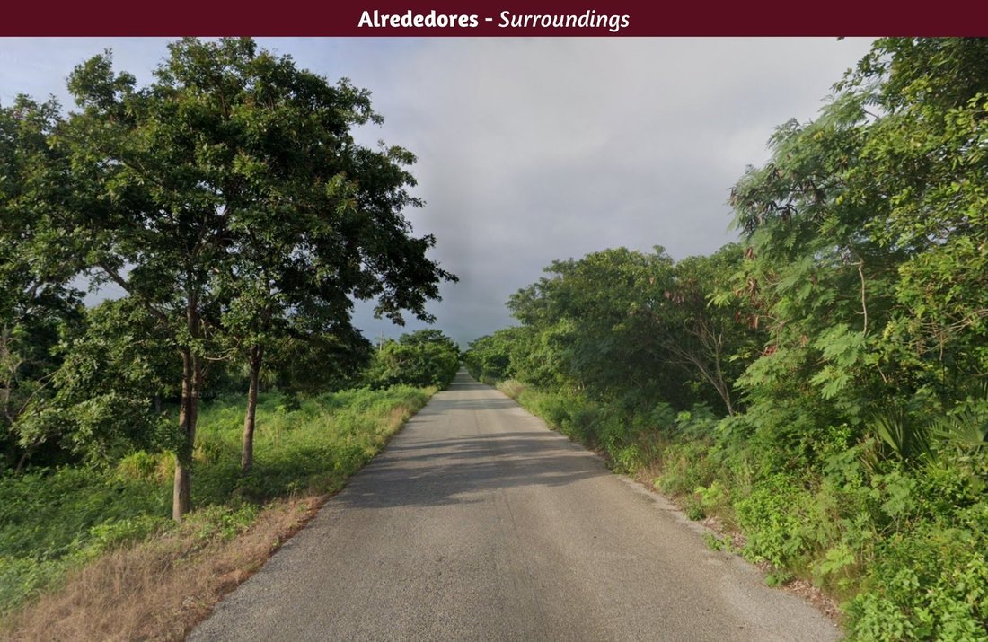 Land in San Carlos, Quintana Roo, Mexico 4 - 17507963