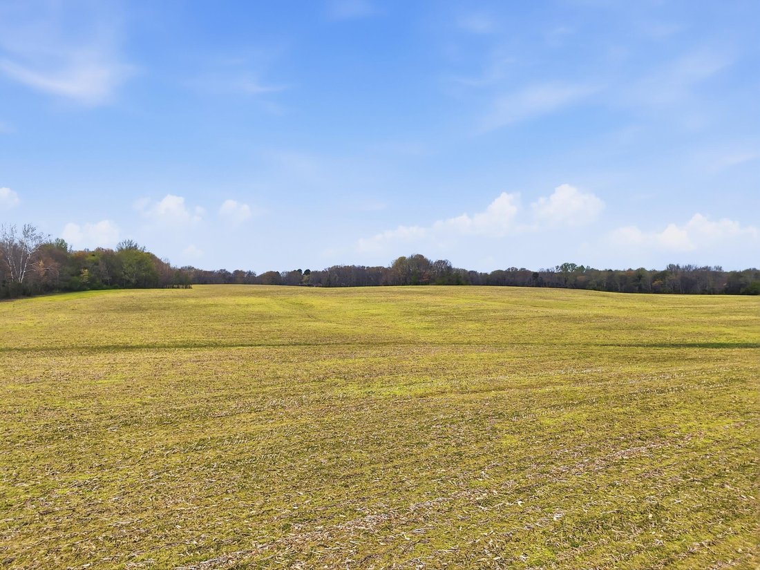Farm Ranch in Manchester, Tennessee, United States 5 - 17505052