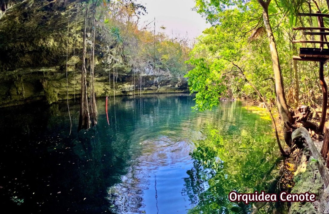 Land in Xelhá, Quintana Roo, Mexico 2 - 17504675