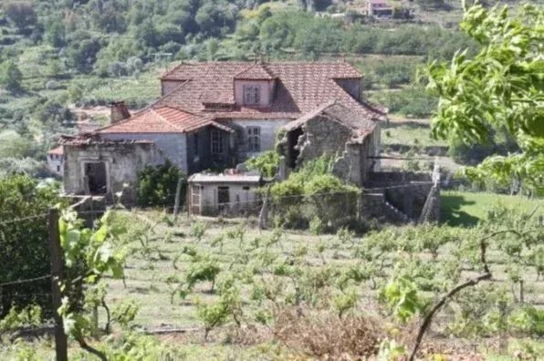 Farm Ranch in Loivos da Ribeira e Tresouras, Porto District, Portugal 2 - 17506598