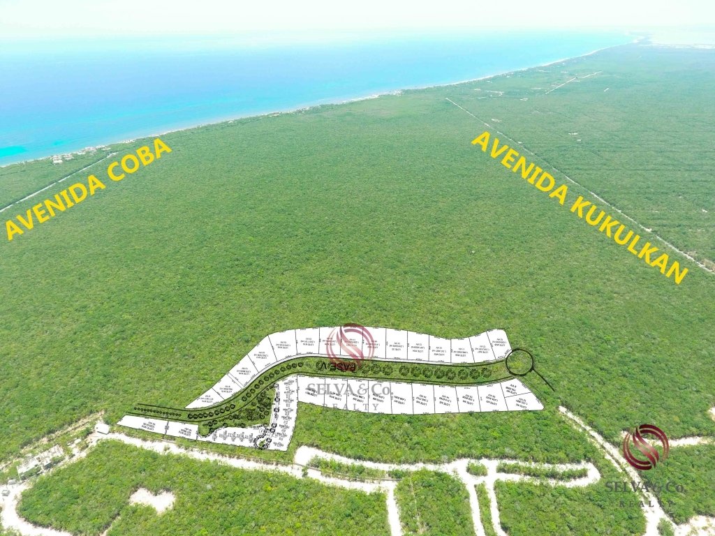 Land in Tulum, Quintana Roo, Mexico 3 - 17508088