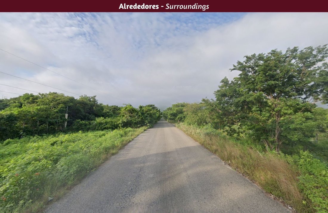 Land in San Carlos, Quintana Roo, Mexico 3 - 17507963