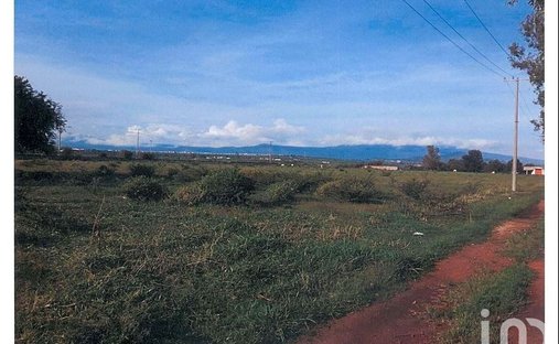 Land in San José del Castillo, Jalisco, Mexico 1