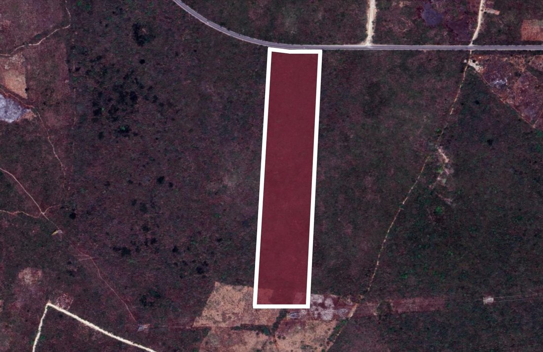 Land in Valladolid, Yucatan, Mexico 2 - 17504319