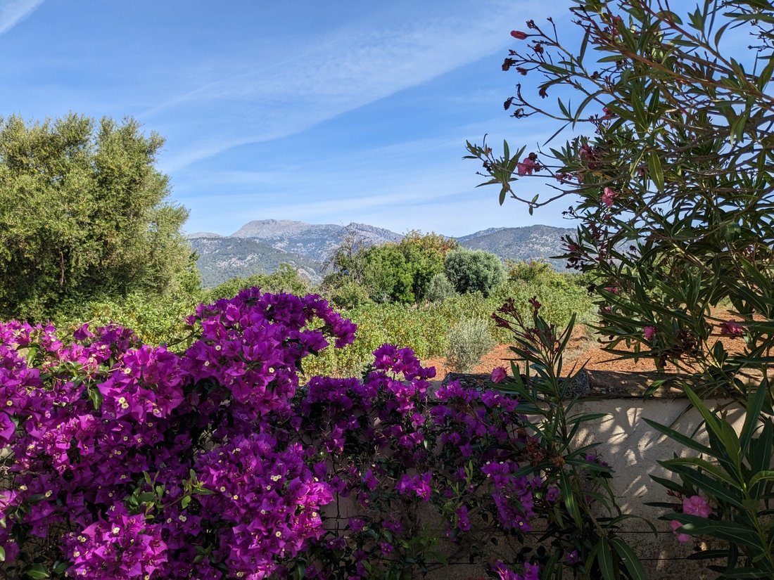 Country House in Selva, Balearic Islands, Spain 5 - 17503251