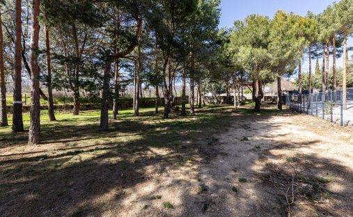 Terrain à Navacerrada, Communauté de Madrid, Espagne 1