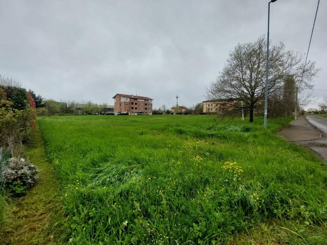 Land in Campegine, Emilia-Romagna, Italy 5 - 17512447