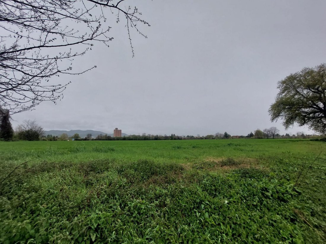 Land in Zola Predosa, Emilia-Romagna, Italy 5 - 17506530