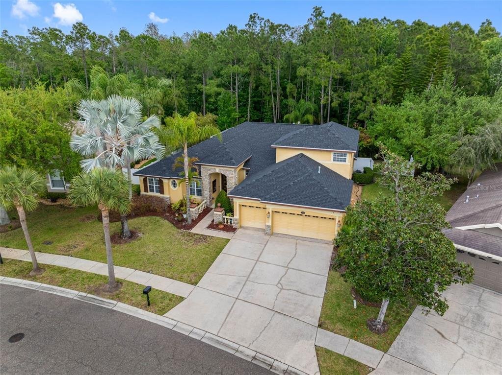 House in Odessa, Florida, United States 1 - 17511604