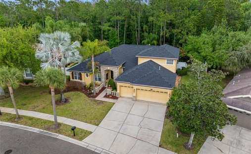 House in Odessa, Florida, United States 1