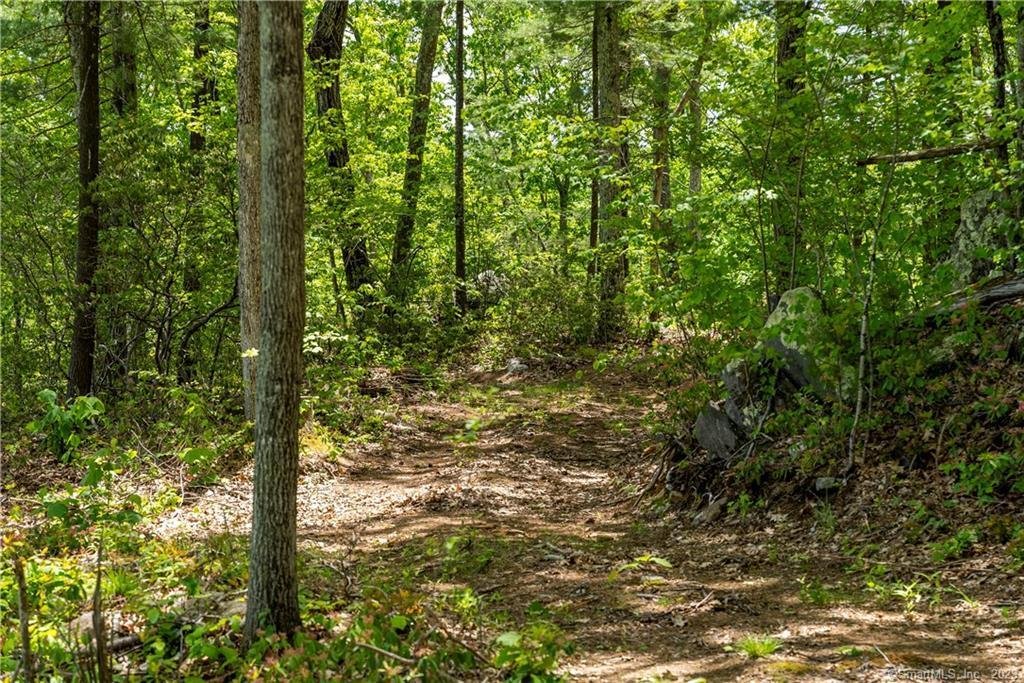 Land in Barkhamsted, Connecticut, United States 3 - 17512228
