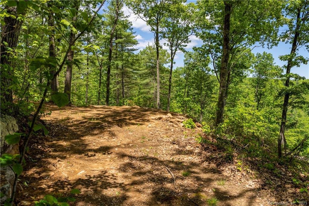 Land in Barkhamsted, Connecticut, United States 5 - 17512228