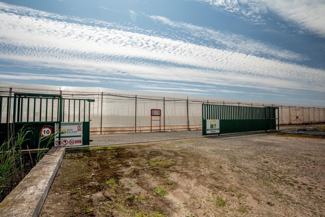 Land in Utrera, Andalusia, Spain 2 - 17505914