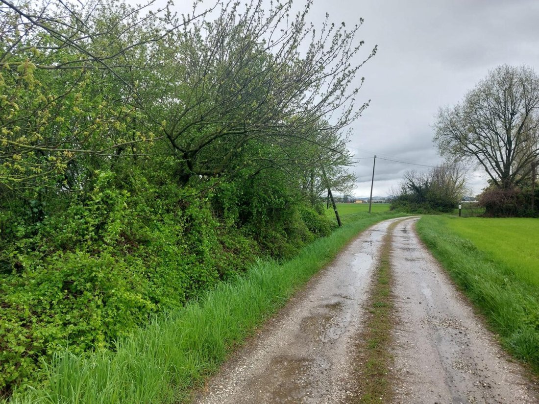 Land in Budrio, Emilia-Romagna, Italy 5 - 17506526