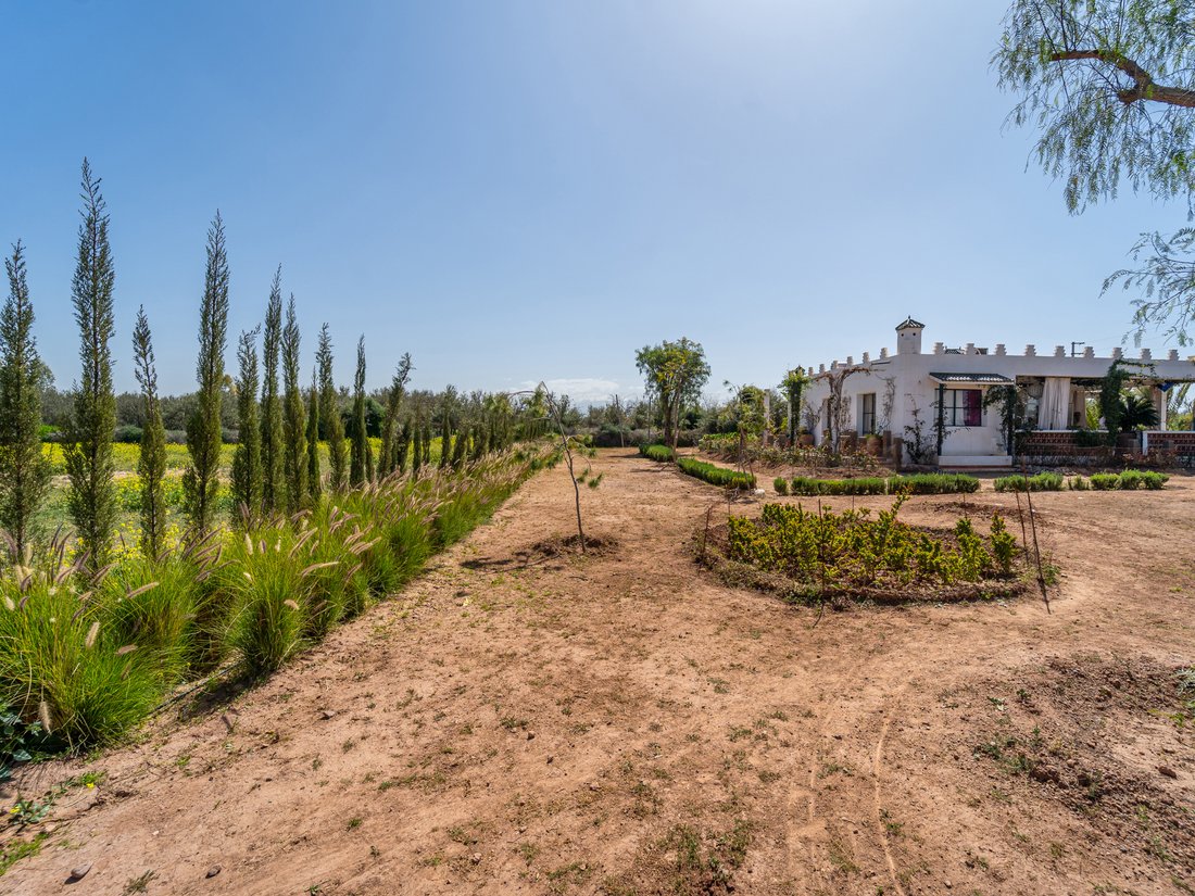 House in Medina, Marrakesh-Safi, Morocco 4 - 17503378