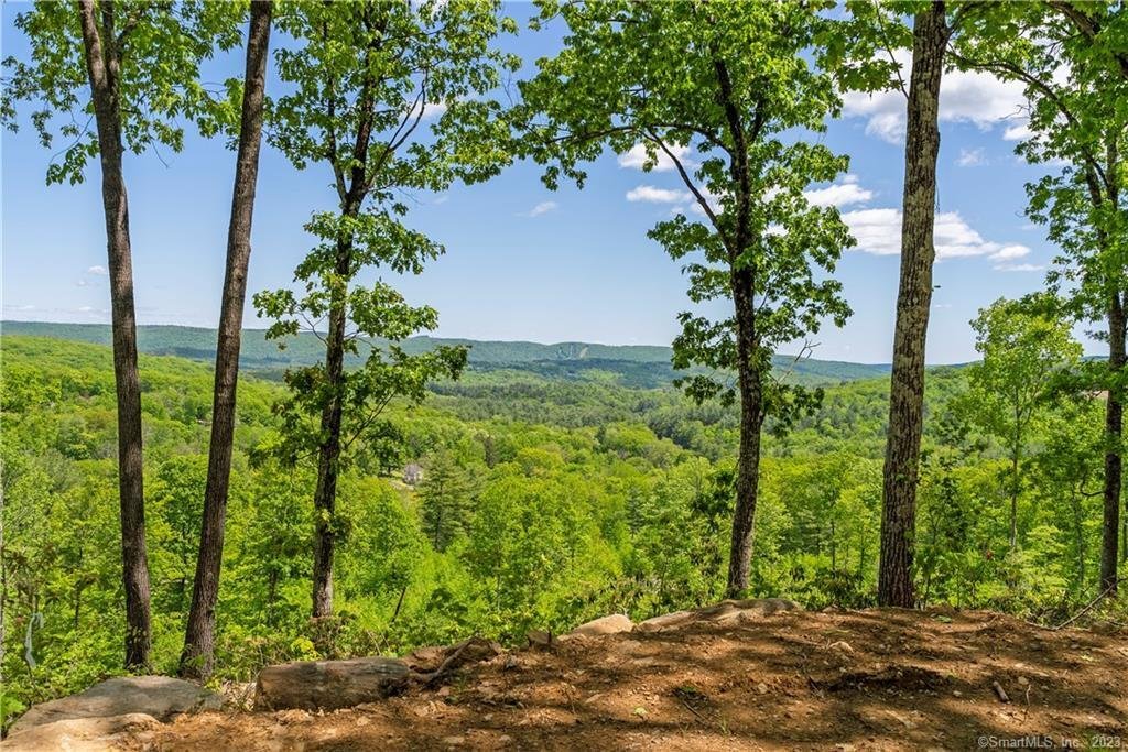 Land in Barkhamsted, Connecticut, United States 1 - 17512228