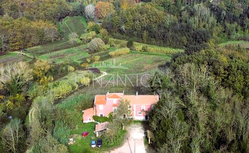 House in Fauglia, Tuscany, Italy 1