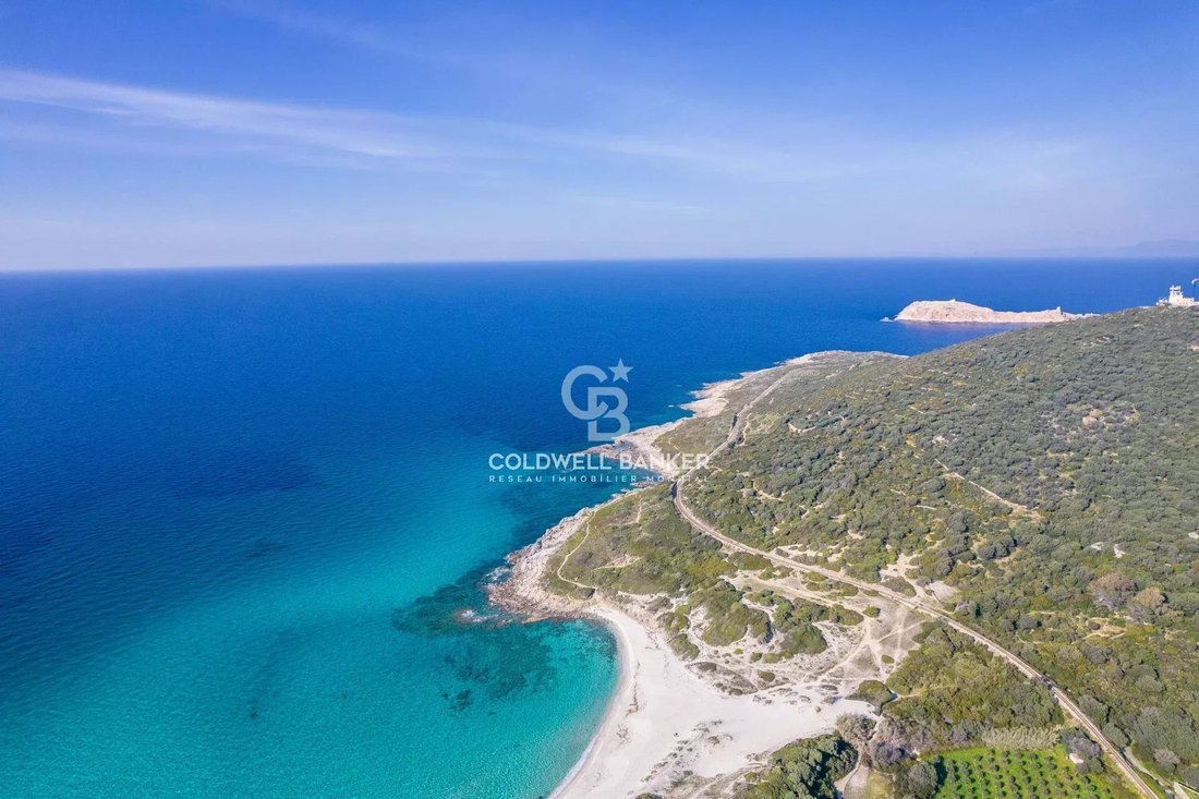 Villa in Corbara, Corsica, France 4 - 17506058