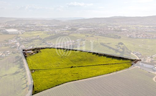Land in Alenquer (Santo Estevao e Triana), Lissabon, Portugal 1