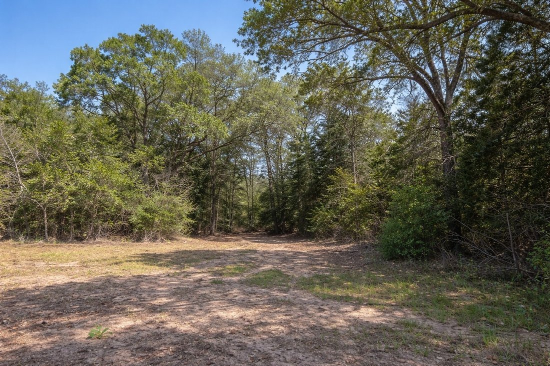 Land in Tool, Texas, United States 2 - 17508669