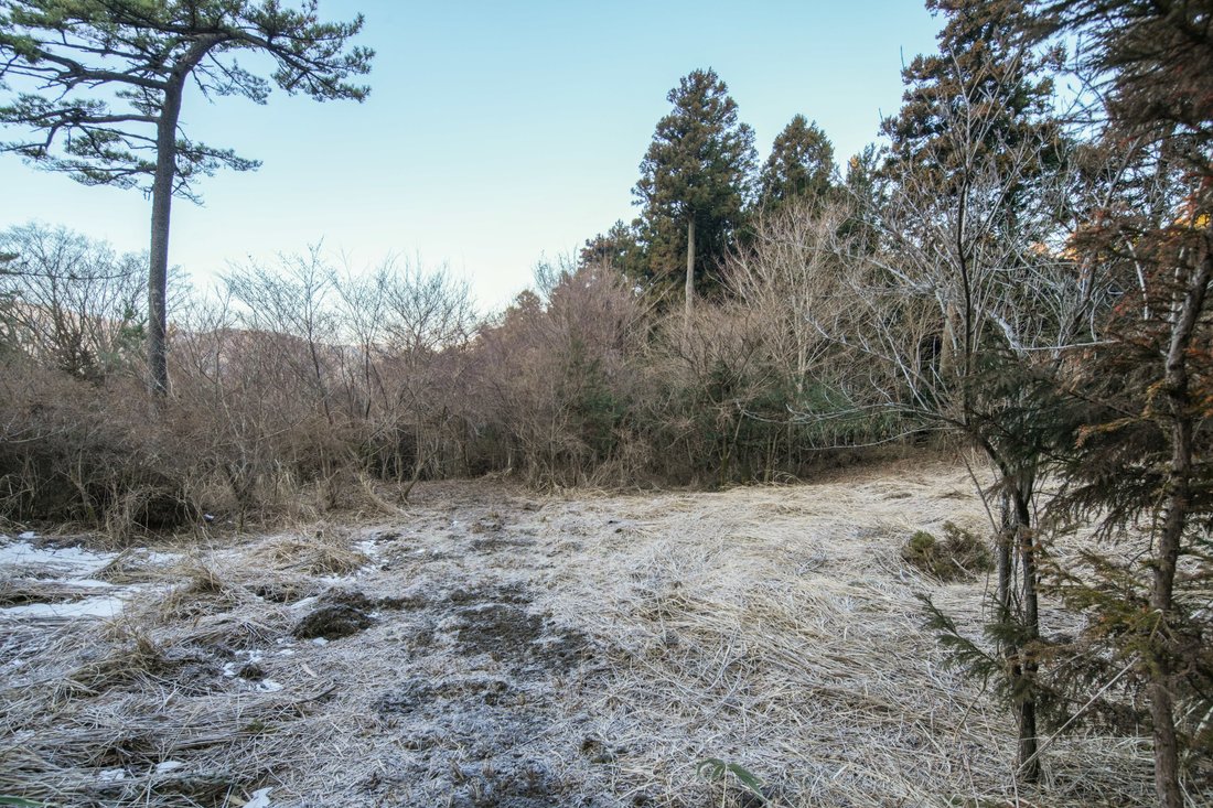 Land in Hakone, Kanagawa, Japan 5 - 17516195