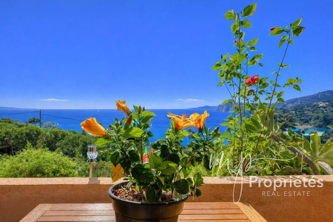 Apartment in French Riviera, Provence-Alpes-Côte d'Azur, France 1 - 15971960