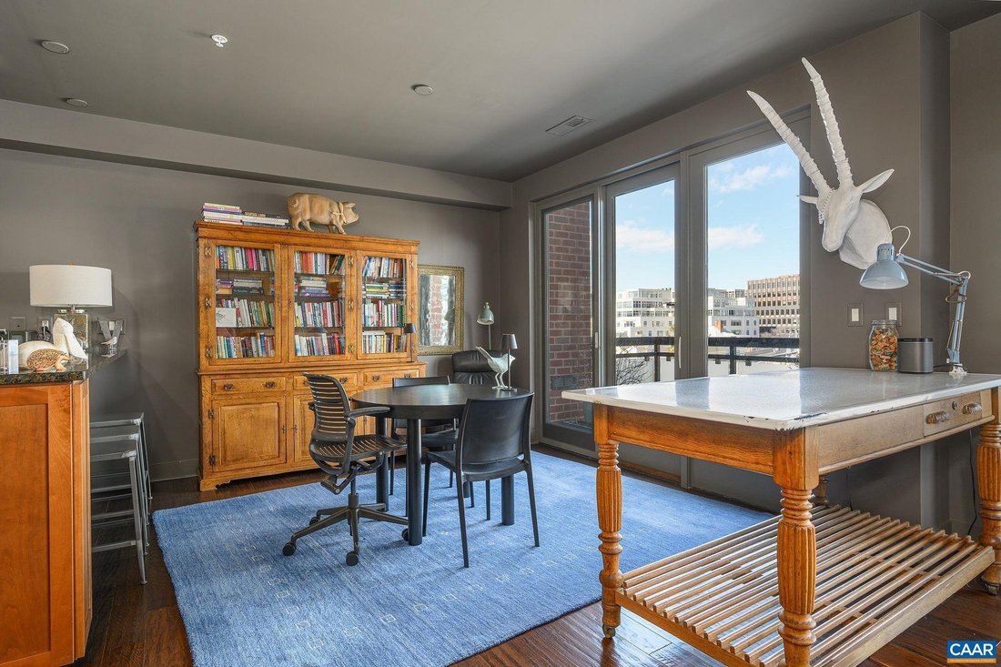 Condo in Charlottesville, Virginia, United States 1 - 17508603