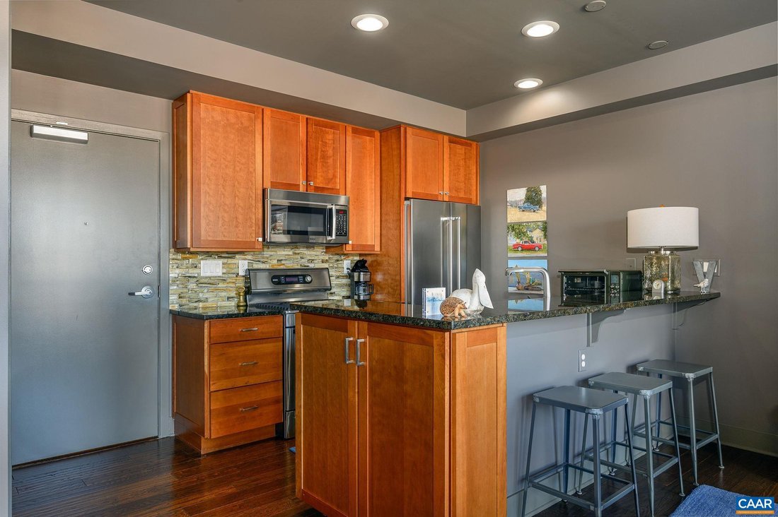 Condo in Charlottesville, Virginia, United States 3 - 17508603