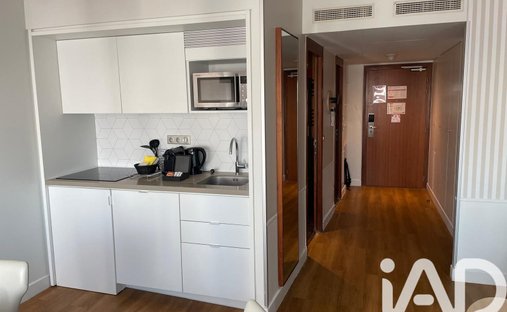 Apartment in Emeriau-Zola, Paris 15e Arrondissement, Paris 1