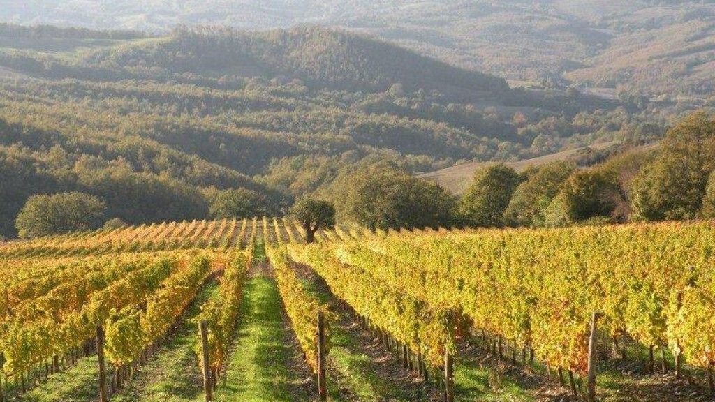 Country House in Scansano, Tuscany, Italy 4 - 17504333